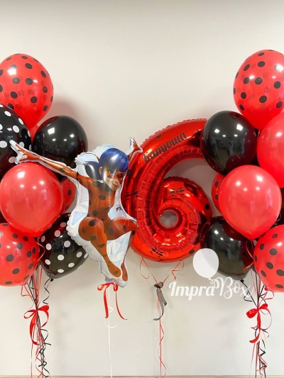 Biedronka Miraculum XL